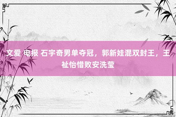 文爱 电报 石宇奇男单夺冠，郭新娃混双封王，王祉怡惜败安洗莹