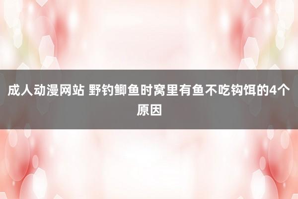 成人动漫网站 野钓鲫鱼时窝里有鱼不吃钩饵的4个原因